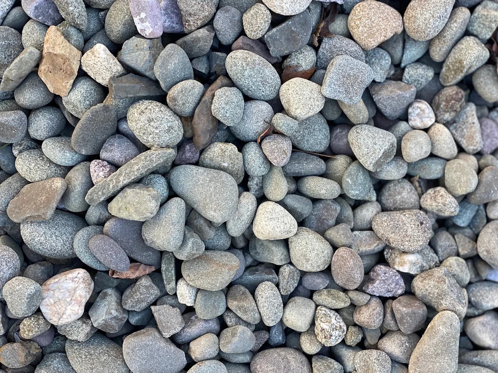 Large Pocono River Rock: 1 1/2"-2 1/2" (#2)