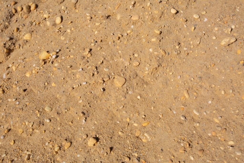Bank Run (sandy fill w/ gravel varying in size)